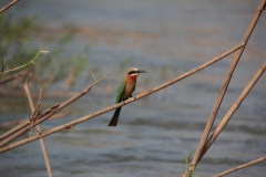 2019-09-Tansania-OK-1207