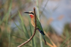 2019-09-Tansania-OK-1213