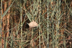 2019-09-Tansania-OK-1218