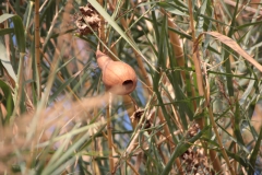 2019-09-Tansania-OK-1222