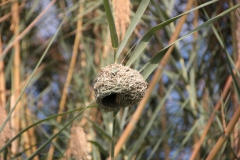 2019-09-Tansania-OK-1224