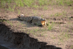 2019-09-Tansania-OK-1230