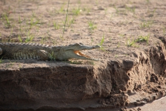 2019-09-Tansania-OK-1237