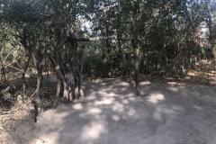 2019-09-Tansania-OK-1302