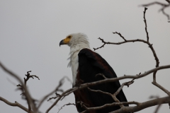 2019-09-Tansania-OK-1307