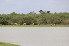 2019-09-Tansania-OK-1318