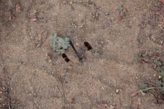 2019-09-Tansania-OK-1326