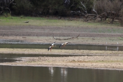 2019-09-Tansania-OK-1339