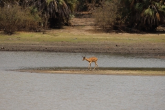 2019-09-Tansania-OK-1346
