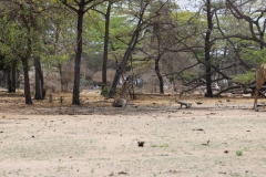2019-09-Tansania-OK-1348
