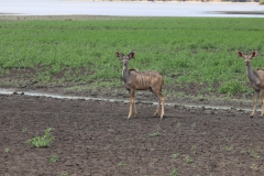 2019-09-Tansania-OK-1360