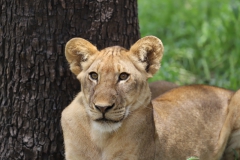 2019-09-Tansania-OK-1373