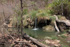 2019-09-Tansania-OK-1842