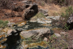2019-09-Tansania-OK-1845