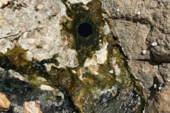 2019-09-Tansania-OK-1852