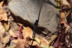 2019-09-Tansania-OK-1858