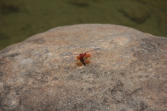 2019-09-Tansania-OK-1862