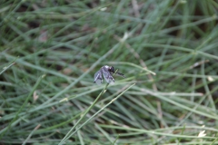 2019-09-Tansania-OK-1888