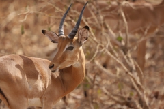 2019-09-Tansania-OK-1783