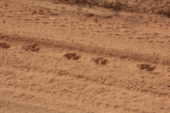 2019-09-Tansania-OK-1789
