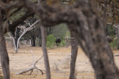 2019-09-Tansania-OK-1799