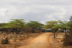 2019-09-Tansania-OK-1800