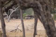 2019-09-Tansania-OK-1803