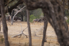 2019-09-Tansania-OK-1807