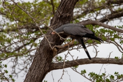 2019-09-Tansania-OK-1813