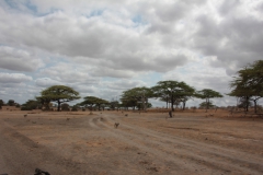 2019-09-Tansania-OK-1817