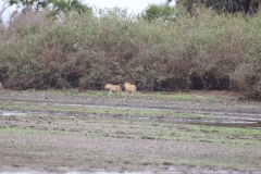 2019-09-Tansania-OK-1820