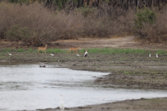 2019-09-Tansania-OK-1829