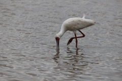 2019-09-Tansania-OK-1831