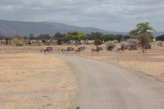 2019-09-Tansania-OK-1832