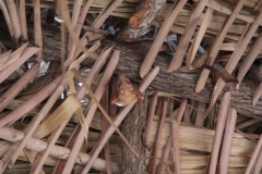 2019-09-Tansania-OK-1898