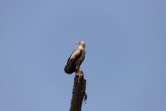 2019-09-Tansania-OK-1901