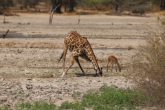 2019-09-Tansania-OK-1910