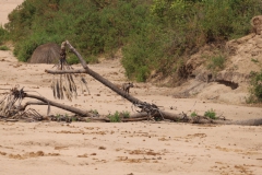 2019-09-Tansania-OK-1930