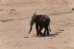 2019-09-Tansania-OK-1943