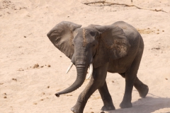 2019-09-Tansania-OK-1947