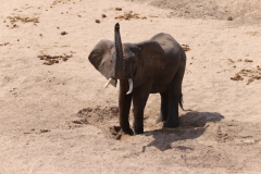 2019-09-Tansania-OK-1959