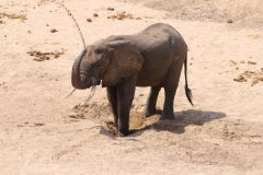 2019-09-Tansania-OK-1966