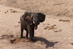 2019-09-Tansania-OK-1977
