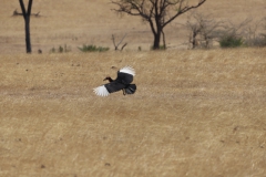 2019-09-Tansania-OK-1992
