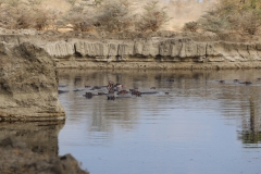 2019-09-Tansania-OK-2010