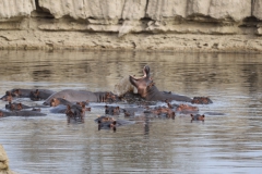 2019-09-Tansania-OK-2014