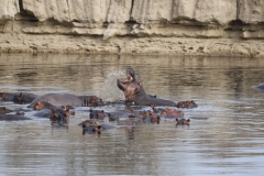 2019-09-Tansania-OK-2015