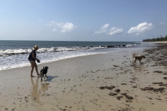 2019-09-Tansania-OK-2566