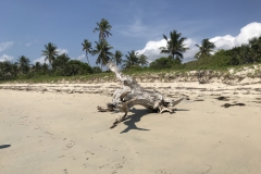 2019-09-Tansania-OK-2568