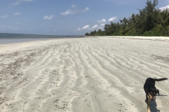 2019-09-Tansania-OK-2570